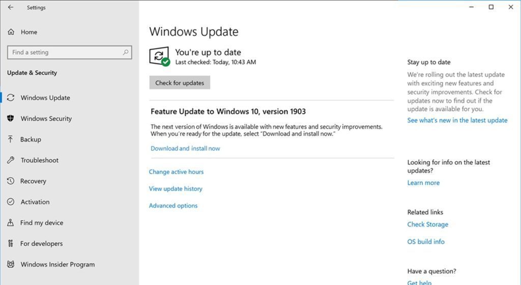 Windows 10 May 2019 Update Is Now Available For All Users Who Manually