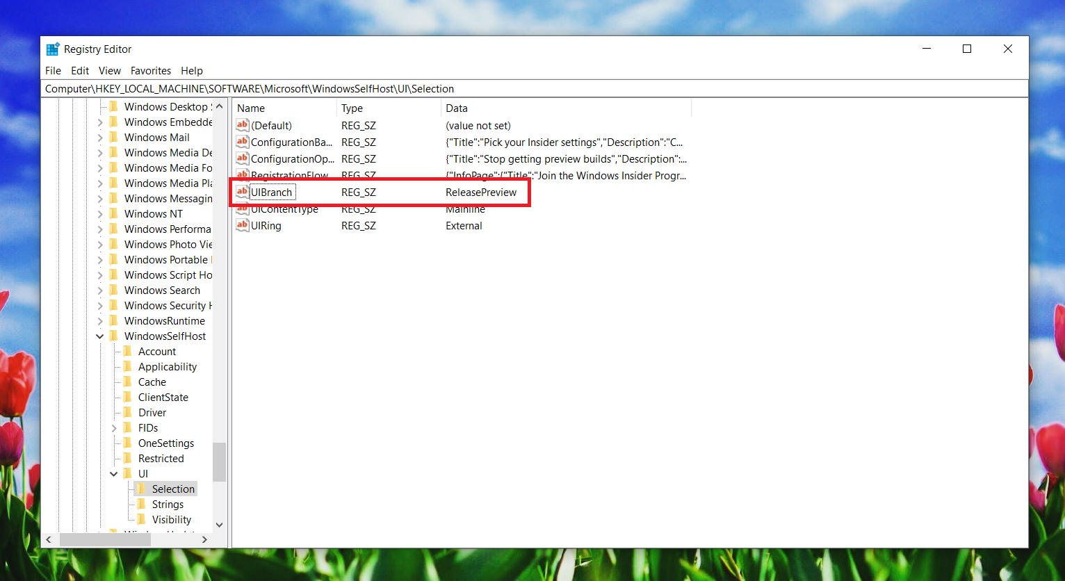 Install Windows 11 Insider preview on unsupported devices Rezwanur's Blog