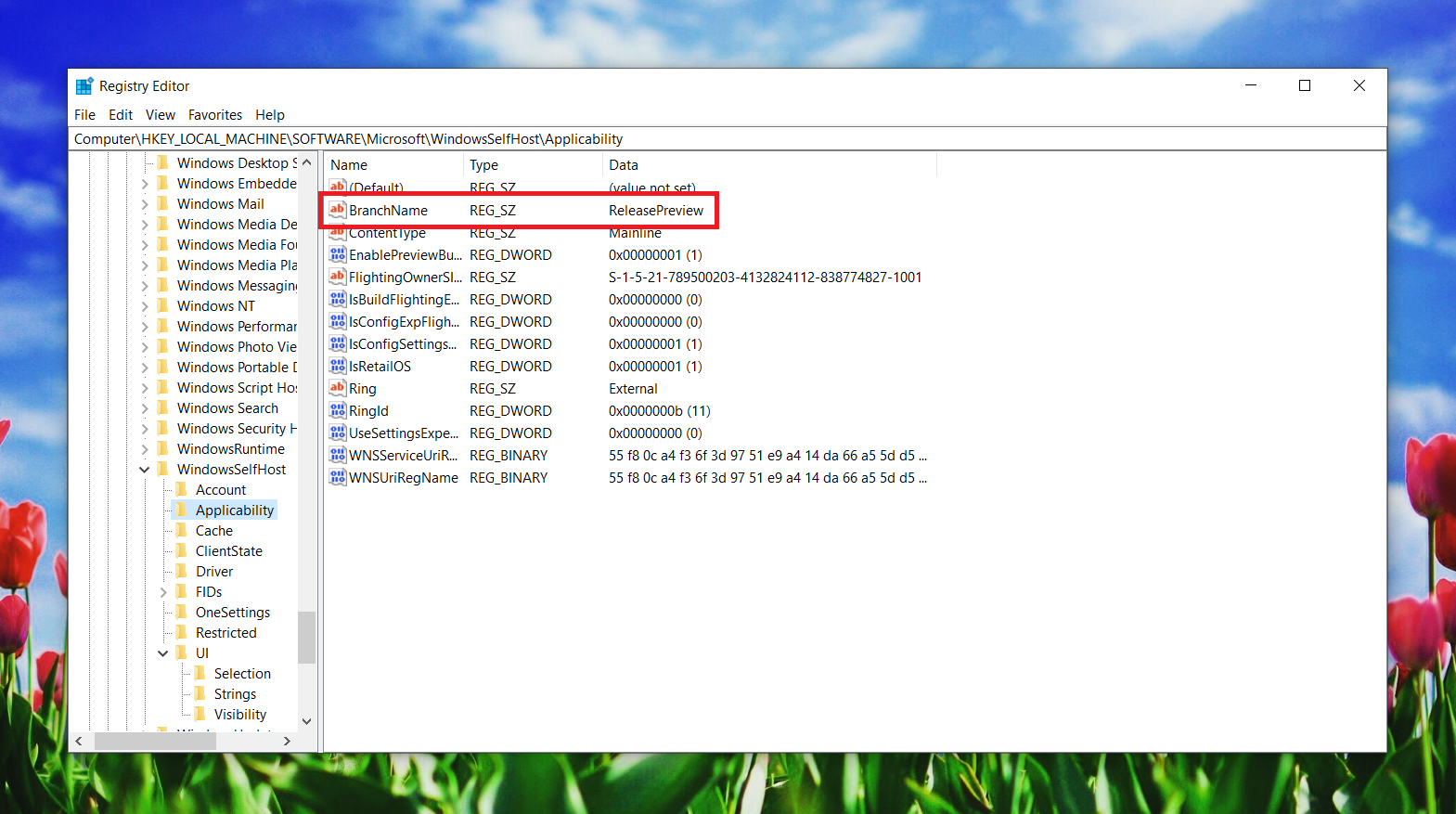 Install Windows 11 Insider preview on unsupported devices Rezwanur's Blog