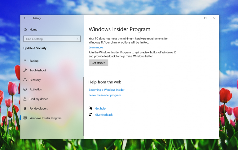 windows insider program download windows 11